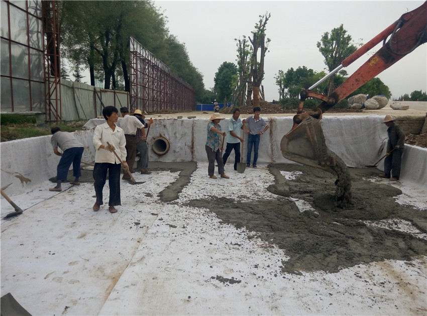 鈉基香蕉视频黄色电影成就人工湖內花美魚肥