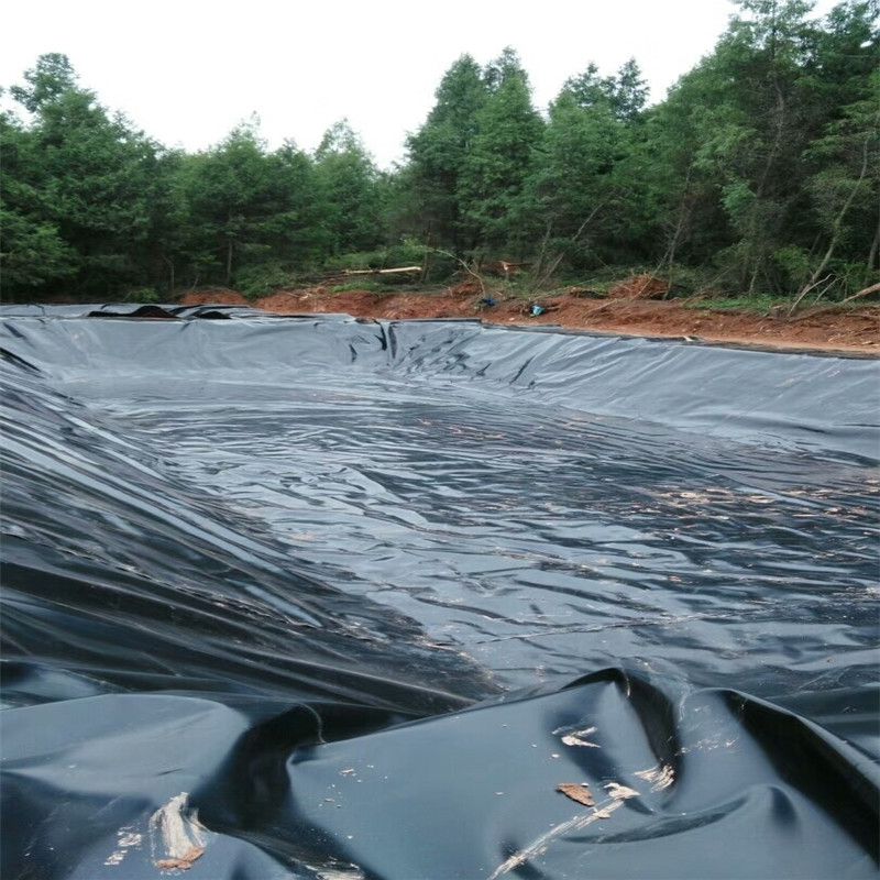 生態農業魚池采用91香蕉视频APP免费下载膜鋪裝技術要點